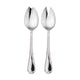 Two silver spoons on a white background