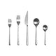 Set of silver cutlery including forks, knife, and spoons on a white background