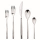 Set of silver cutlery including fork, knife, and spoons on a white background