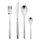 Set of silver cutlery including a fork, knife, and two spoons on a white background