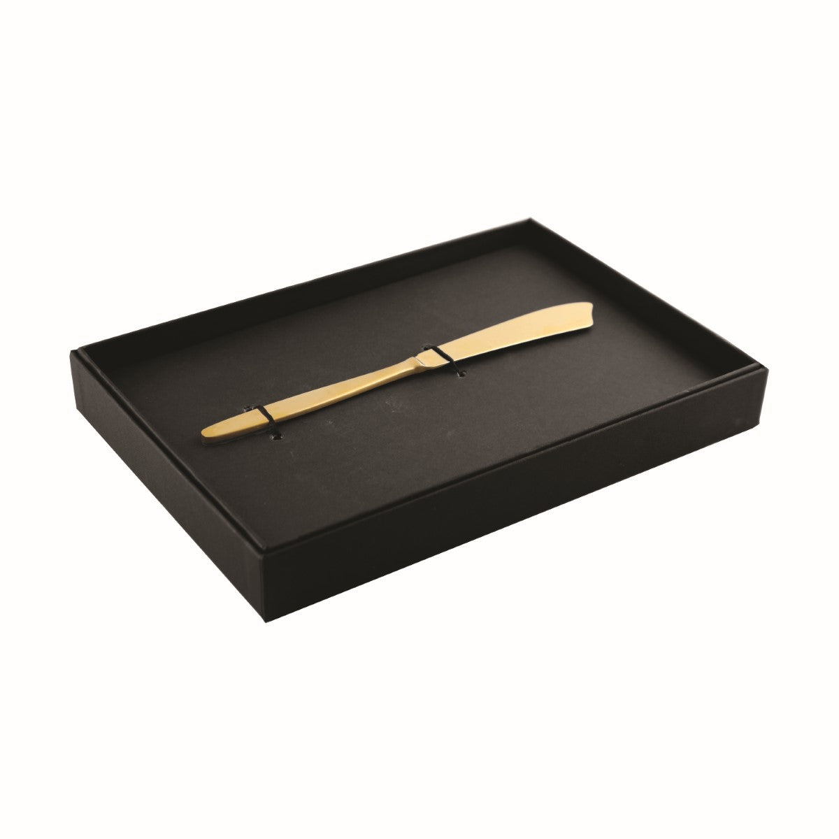 Gold pen in a black display box on a white background