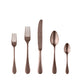 Set of bronze-colored cutlery including a knife, two forks, and two spoons on a white background.