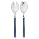 Two silver spoons with blue handles on a white background