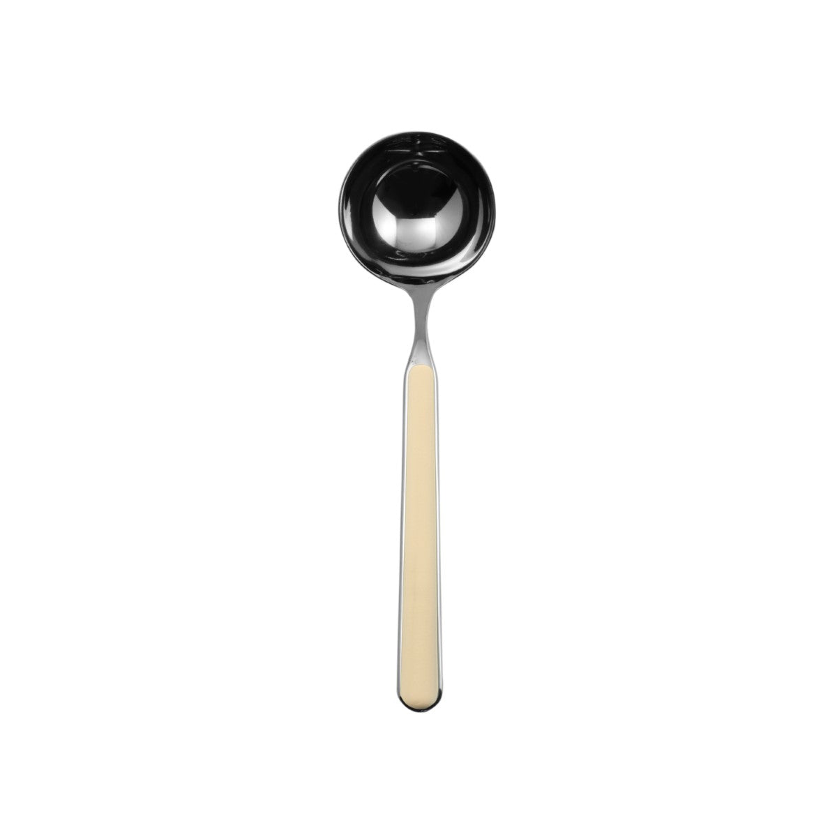 Spoon with black bowl and beige handle on a white background