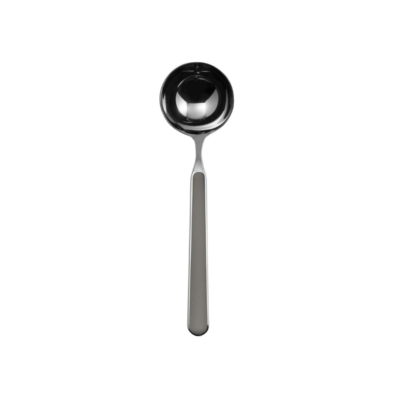 Stainless steel ladle on a white background
