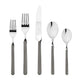 Set of silver cutlery including forks and spoons on a white background