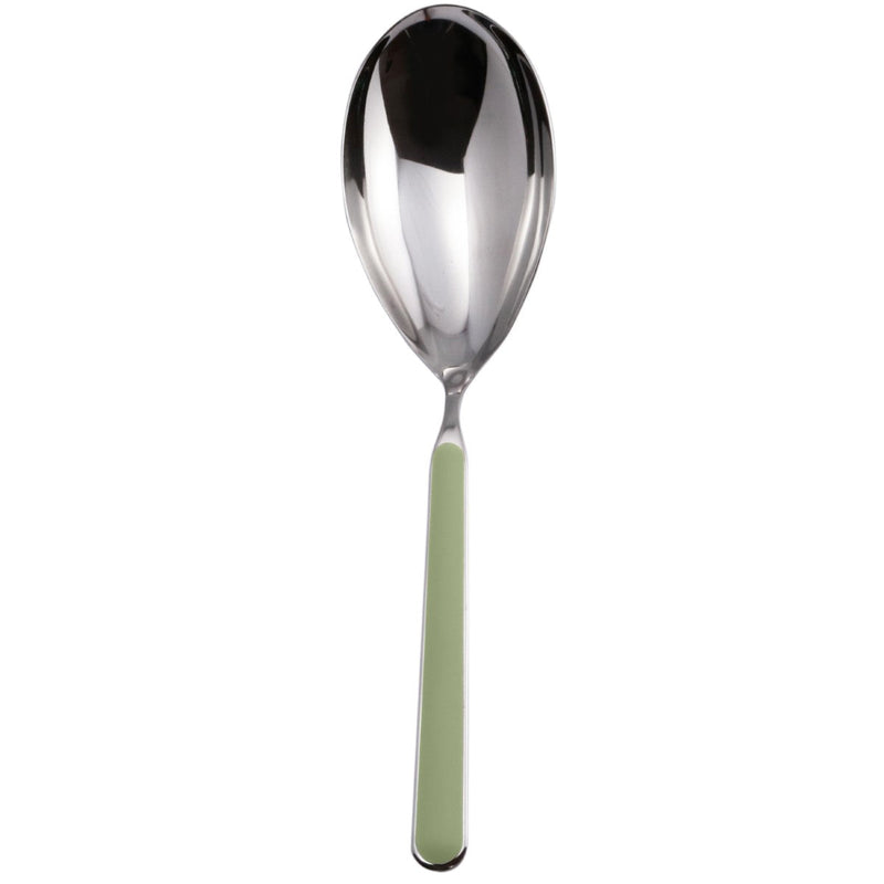 Silver spoon with a green handle on a white background