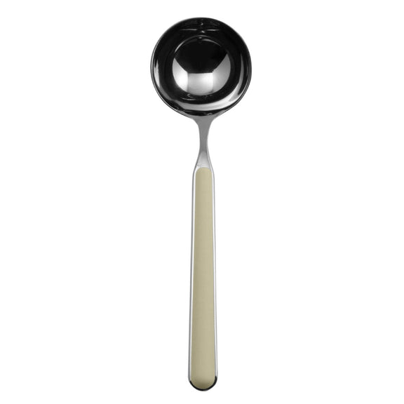 Spoon with a light-colored handle on a white background