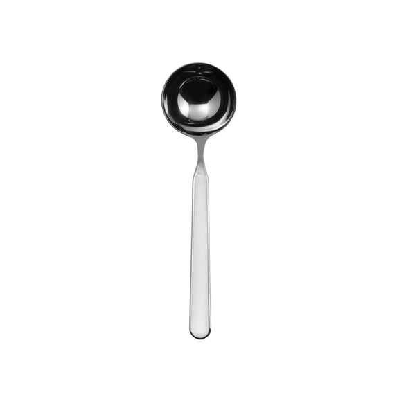 Stainless steel ladle on a white background