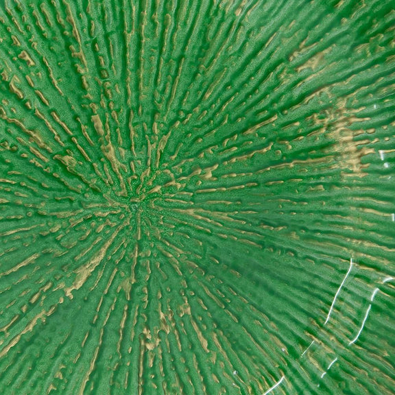 Close-up of a textured green surface with concentric patterns