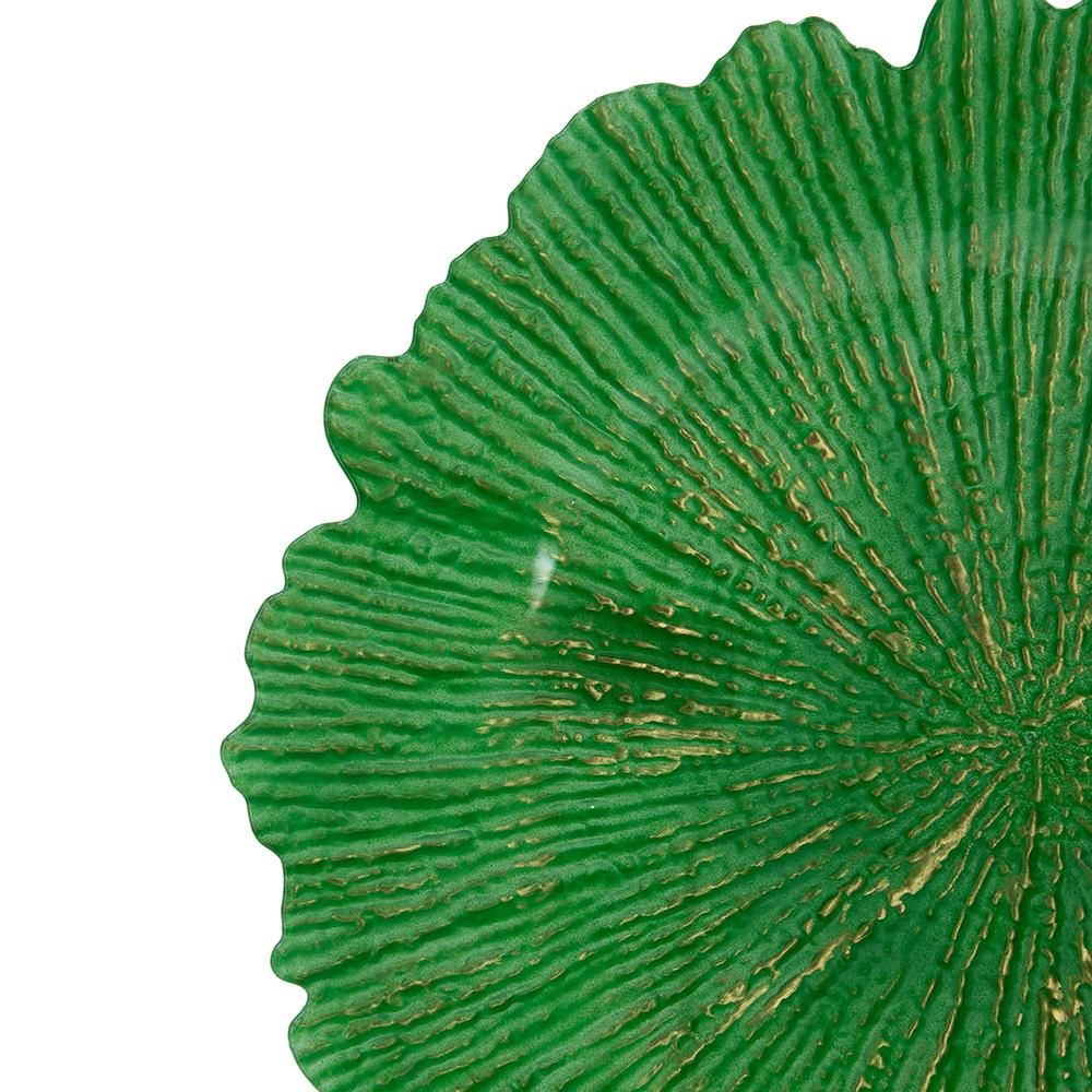 Close-up of a green textured circular object on a white background