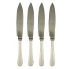 American Steak Knife Set Of 4 Ice Champagne