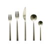 5 Piece Ps Movida Ice Champagne Flatware Set