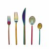 Cutlery Set 5 Piece Due Ice Rainbow Flatware Set