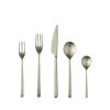 Cutlery Set 5 Piece Linea Ice Champagne Flatware Set