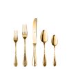 5 Piece Place Setting Epoque Oro Flatware Set