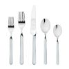 20 Piece Set Fantasia Light Blue Flatware Set