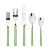 Place Set 5 Piece Fantasia Applegreen Flatware Set