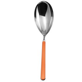 Risotto Spoon Fantasia Carrot