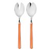 Salad Set 2 Pcs Fantasia Carota