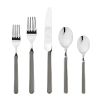 Place Set 5 Piece Fantasia Vicuna Flatware Set