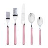 Place Set 5 Piece Fantasia Pink Flatware Set