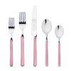 20 Piece Set Fantasia Pink Flatware Set