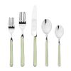 Place Set 5 Piece Fantasia Sage Flatware Set