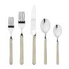 Place Set 5 Piece Fantasia Turtle-Dove Flatware Set