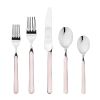 Place Set 5 Piece Fantasia Pale Rose Flatware Set