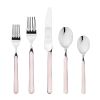 Set 20 Piece Fantasia Pale Rose