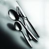 20 Piece Set Acqua Flatware Set