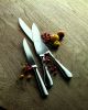 American Steak Knife Set Of 4 Ice