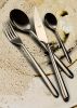 Serving Set Fork Spoon Linea Champ