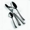 Cutlery Set 5 Piece Sole Flatware Set