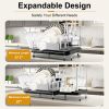 Stainless Steel Expandable Dish Rack with Drainboard and Swivel Spout - Black